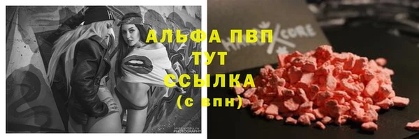 амф Белокуриха