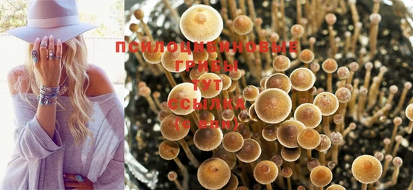 бутират Белоозёрский