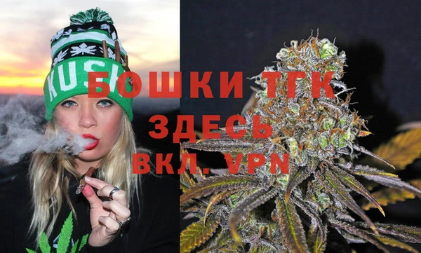 амф Белокуриха