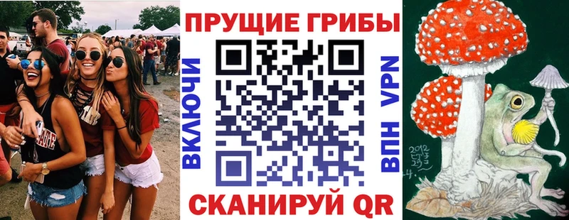 Псилоцибиновые грибы GOLDEN TEACHER  Богданович 